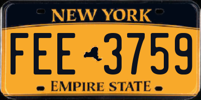 NY license plate FEE3759