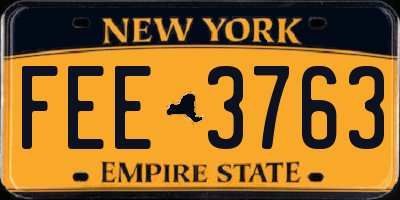 NY license plate FEE3763