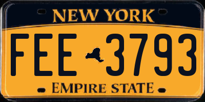 NY license plate FEE3793