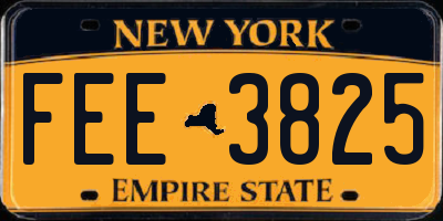 NY license plate FEE3825
