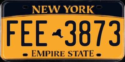 NY license plate FEE3873