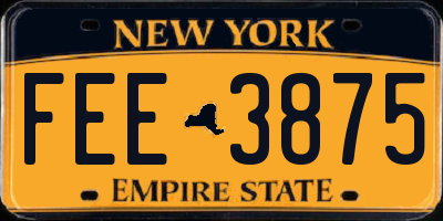 NY license plate FEE3875