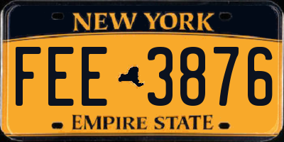 NY license plate FEE3876