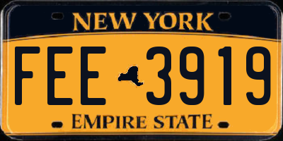 NY license plate FEE3919