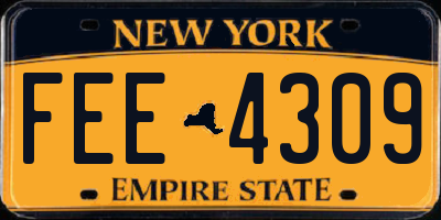 NY license plate FEE4309