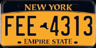 NY license plate FEE4313