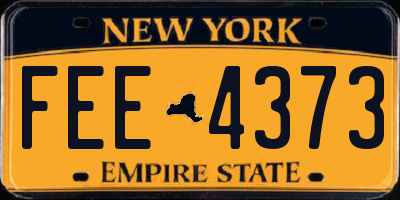 NY license plate FEE4373