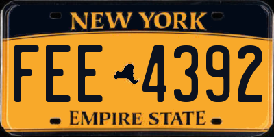 NY license plate FEE4392