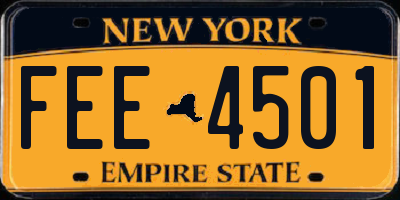 NY license plate FEE4501