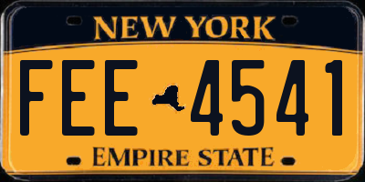 NY license plate FEE4541