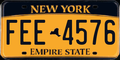NY license plate FEE4576