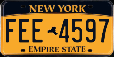 NY license plate FEE4597