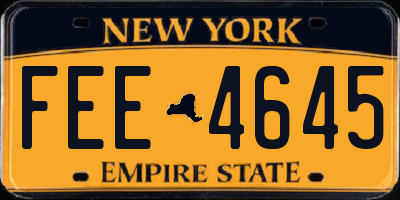NY license plate FEE4645