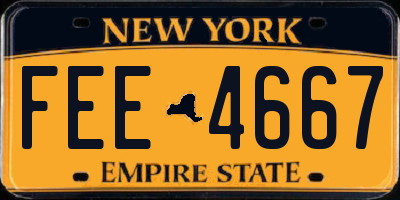 NY license plate FEE4667
