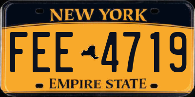 NY license plate FEE4719