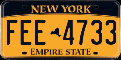 NY license plate FEE4733