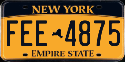 NY license plate FEE4875