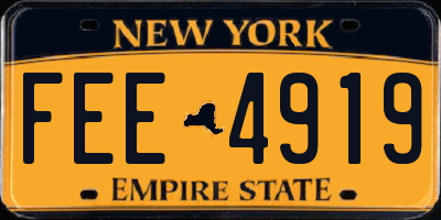 NY license plate FEE4919