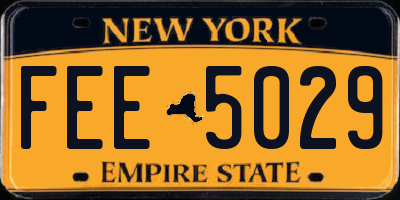 NY license plate FEE5029
