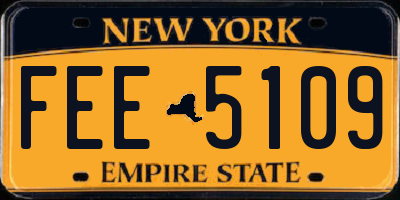 NY license plate FEE5109