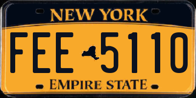 NY license plate FEE5110