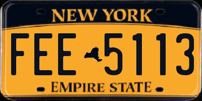 NY license plate FEE5113