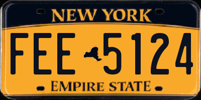 NY license plate FEE5124