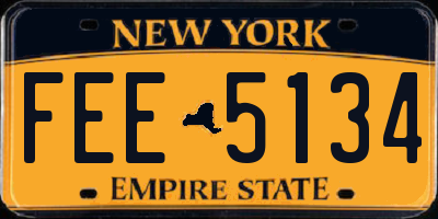 NY license plate FEE5134