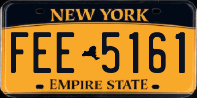 NY license plate FEE5161