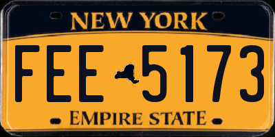 NY license plate FEE5173