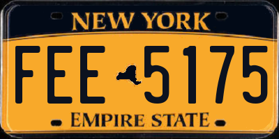 NY license plate FEE5175