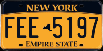 NY license plate FEE5197