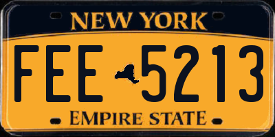 NY license plate FEE5213