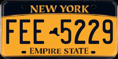 NY license plate FEE5229