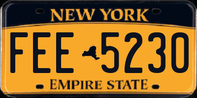 NY license plate FEE5230