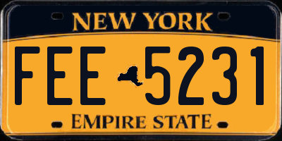 NY license plate FEE5231