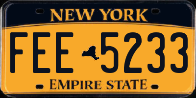 NY license plate FEE5233