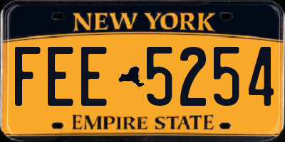 NY license plate FEE5254
