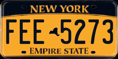 NY license plate FEE5273
