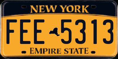NY license plate FEE5313