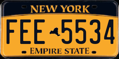 NY license plate FEE5534