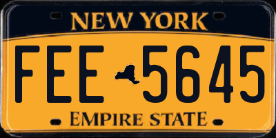 NY license plate FEE5645
