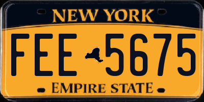 NY license plate FEE5675