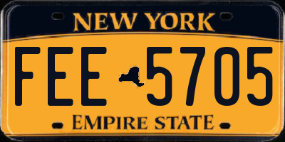 NY license plate FEE5705