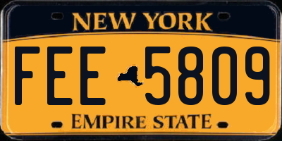 NY license plate FEE5809
