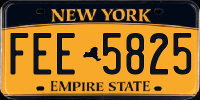 NY license plate FEE5825