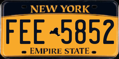 NY license plate FEE5852