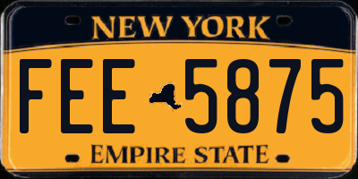 NY license plate FEE5875