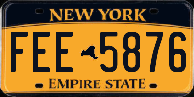 NY license plate FEE5876