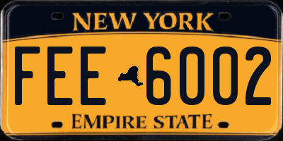 NY license plate FEE6002